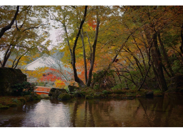 12-Daigoji Temple in Autumn.jpg