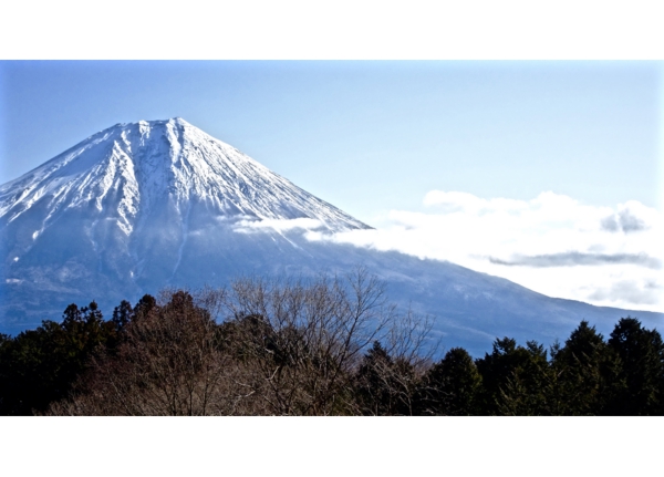 41-富士山田貫湖より.jpg