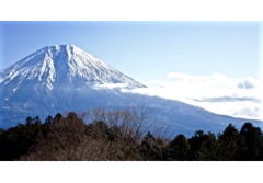 41-富士山田貫湖より.jpg